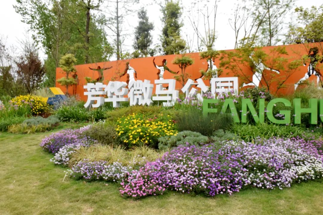 【喜报】新都区芳华桂城荣获“四川省中医药健康旅游示范基地”称号！