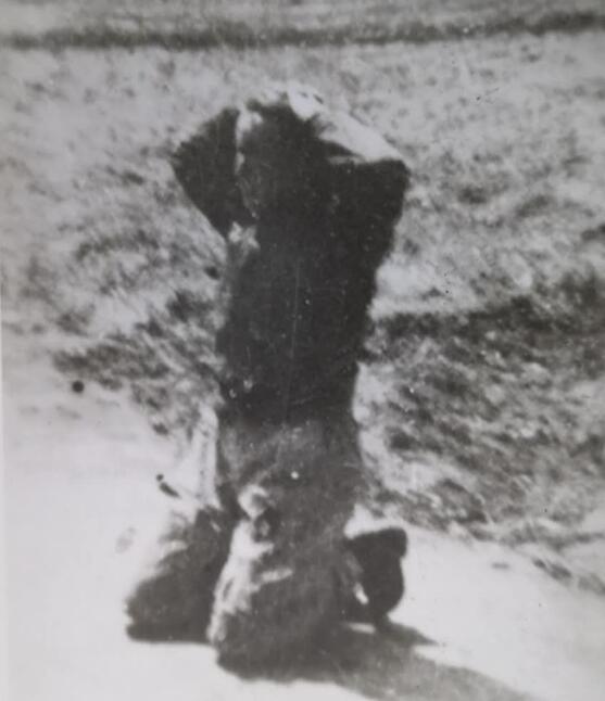 ���ɣ�������������ս�������˿���Ԯ��־Ը�����ĵ�