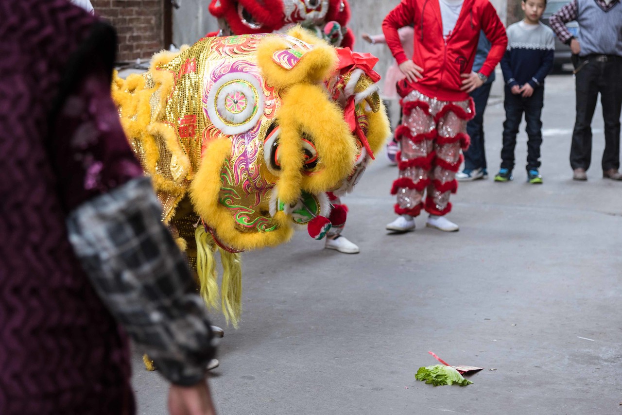 关于舞狮的电视剧图片