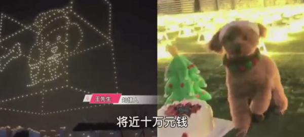 女孩花费近10万，用520架无人机为狗狗庆生：感谢10年陪伴！网友吵翻