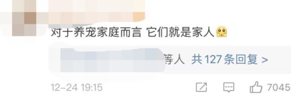 女孩花费近10万，用520架无人机为狗狗庆生：感谢10年陪伴！网友吵翻