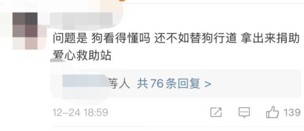 女孩花费近10万，用520架无人机为狗狗庆生：感谢10年陪伴！网友吵翻