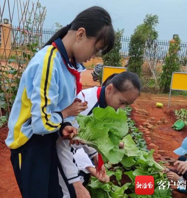 澄迈县第一小学的课堂，让网友们慕了(图4)