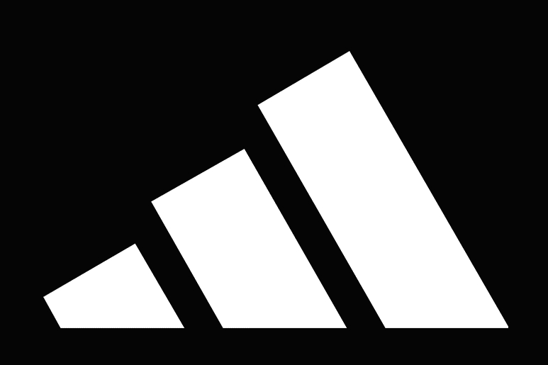 波尔津吉斯logo阿迪图片