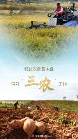 稳住农业基本盘 做好“三农”工作——从中央农村工作会议看2022年“三农”重点任务