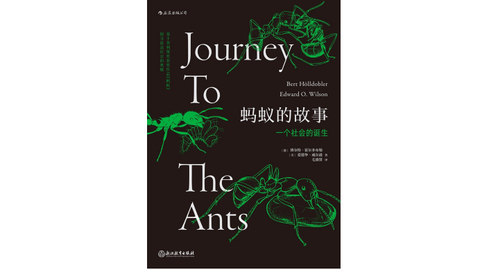 蚂蚁的袭击电影剧情「解析」 _晶羽科技