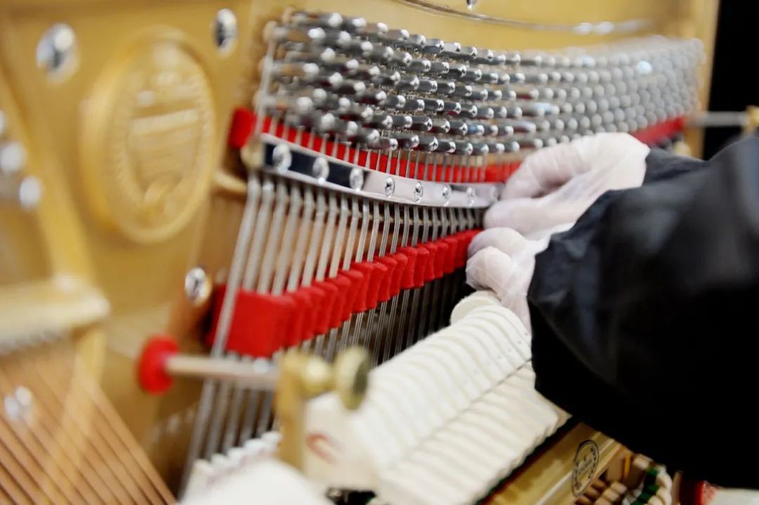 盲人调律师许继康：旋律“指引”航向，音乐“调亮”人生