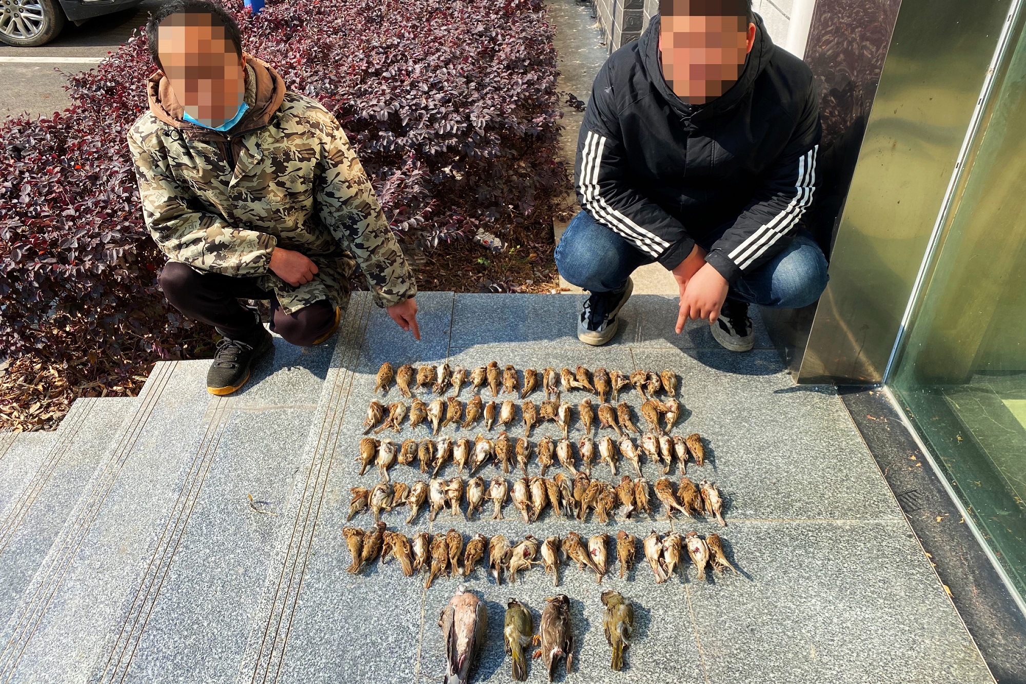 非法持枪,非法持枪判多少年