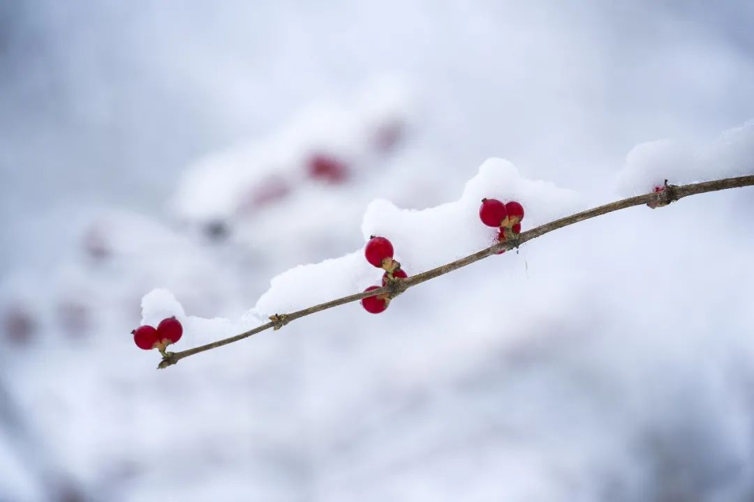 限行丨全年最冷时节来了！注意这些事…丨2022年居民医保缴费延期啦！缴费流程→