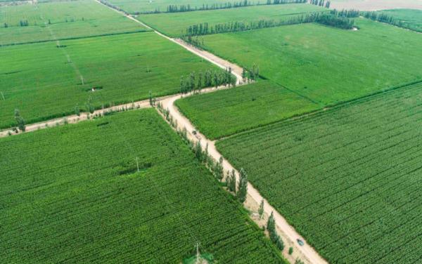 农业补贴标准,江苏省农业补贴标准