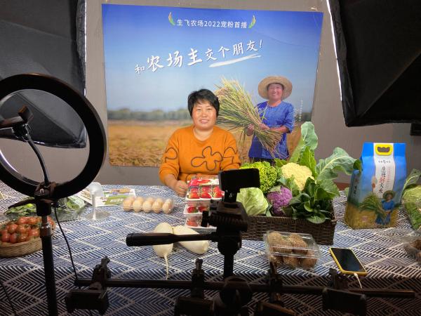 专业合作社,专业合作社属于什么类型企业