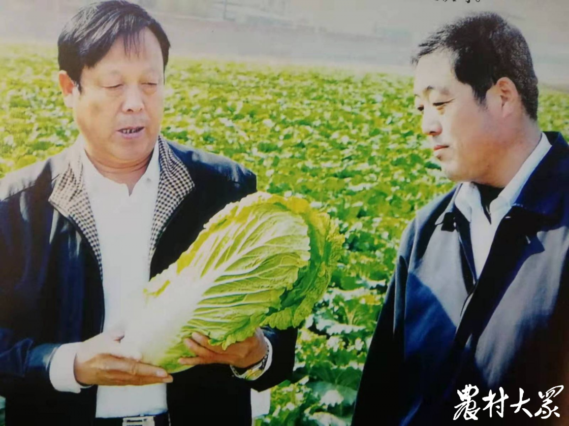 72歲農(nóng)民專(zhuān)家孫銘元：堅(jiān)守37年，育成推廣近百個(gè)大白菜品種