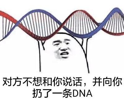 dna动了（西游记版海天巡航发布网友DNA动了）