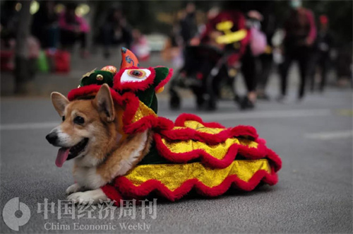 过了腊八就是年，就地过年也要年味拉满