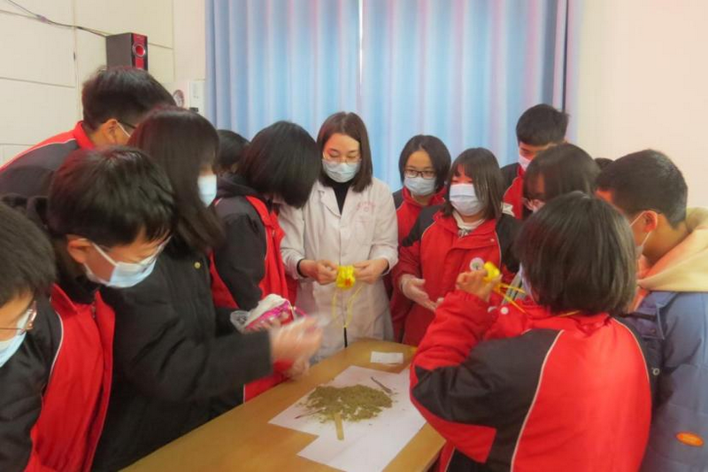河北保定清苑区：学国粹经典 让中医药文化成校园“潮流”