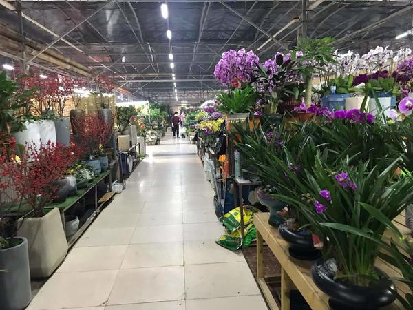 郑州陈寨,