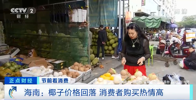 海南椰子價(jià)格腰斬，銷(xiāo)量節(jié)節(jié)攀升