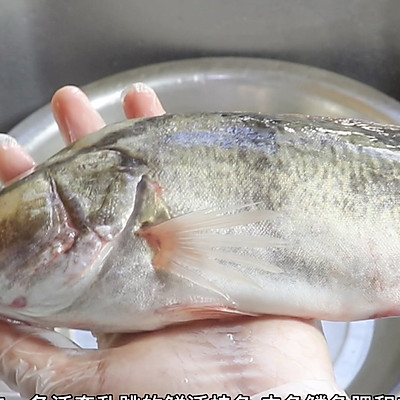 桂魚怎么做,桂魚怎么做好吃又簡單家常的