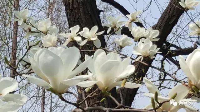 美景好诗 | 蝶恋花 人生行旅新开始
