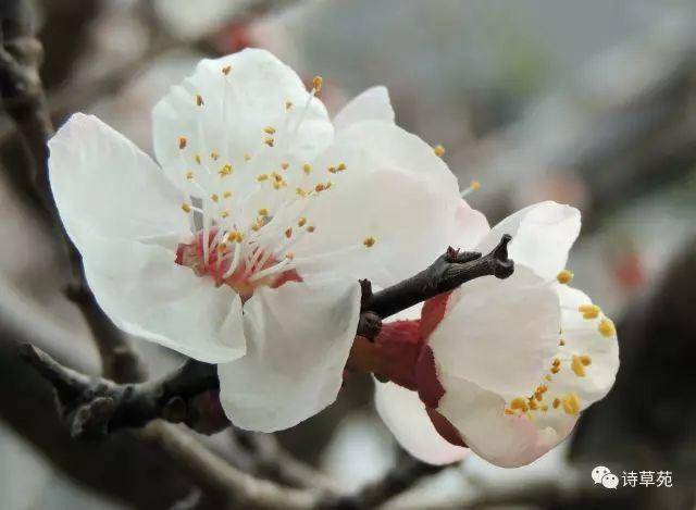 美景好诗 | 蝶恋花 人生行旅新开始