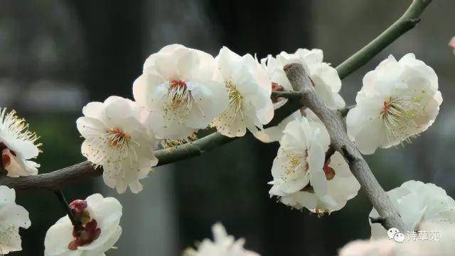 美景好诗 | 蝶恋花 人生行旅新开始