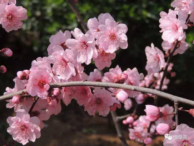 美景好诗 | 蝶恋花 人生行旅新开始