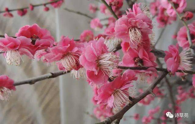 美景好诗 | 蝶恋花 人生行旅新开始