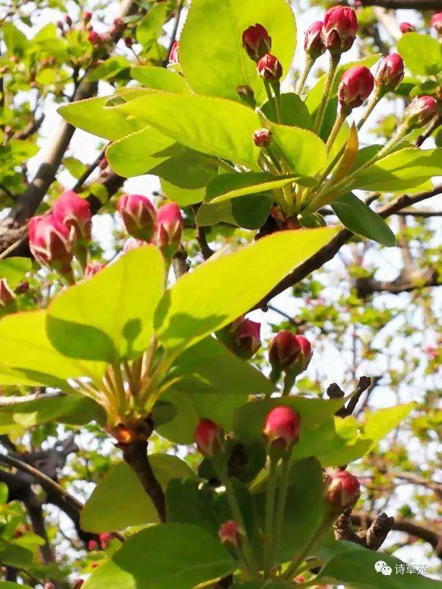 美景好诗 | 蝶恋花 人生行旅新开始