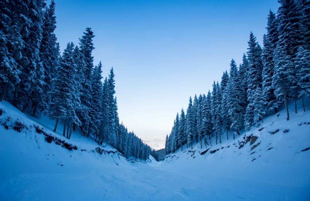 提前过把瘾！100张建设者大片“沉浸式上冰雪”！