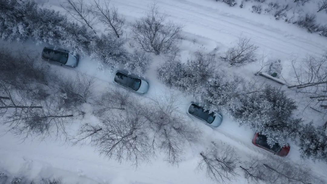 提前过把瘾！100张建设者大片“沉浸式上冰雪”！