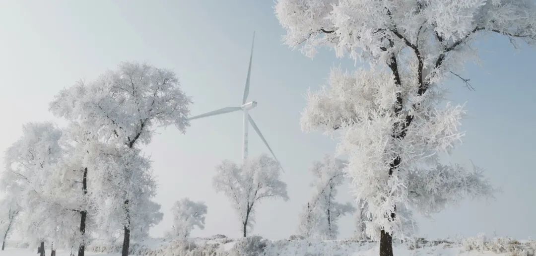 提前过把瘾！100张建设者大片“沉浸式上冰雪”！