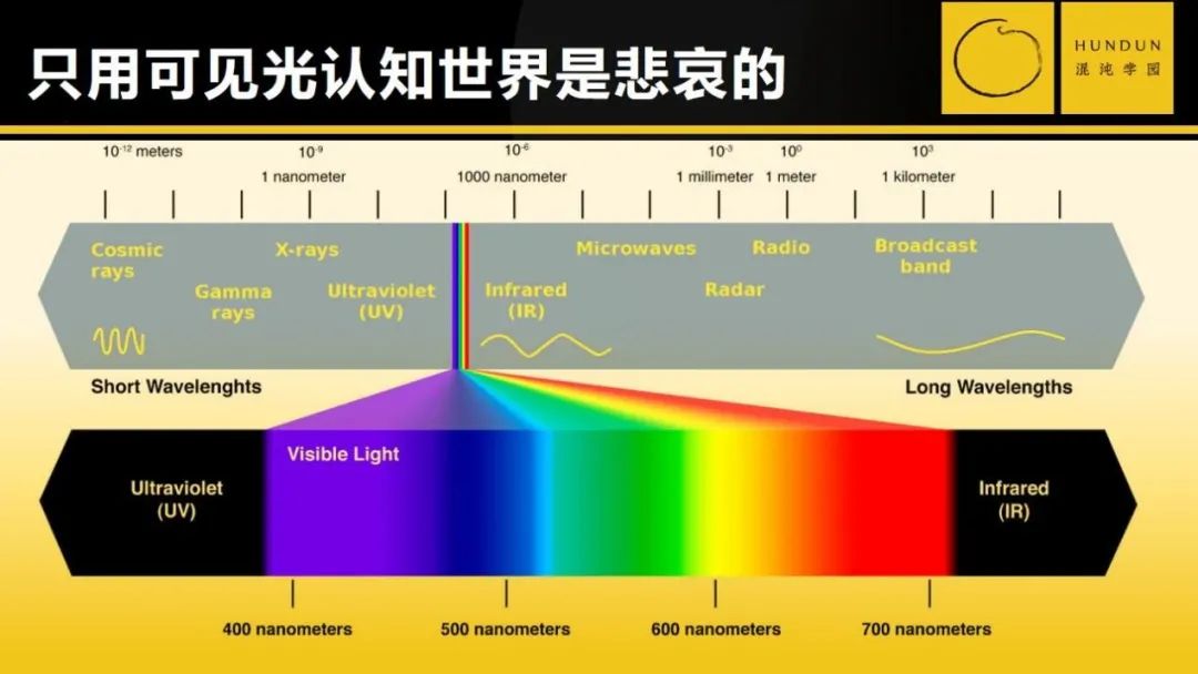 尹烨：格物生命之理，致知演化之道