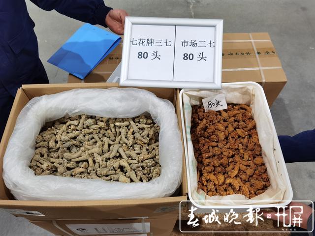 建设具有全球影响力的疫苗基地！“十四五”云南医药工业这样发展→