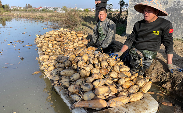 湘潭縣：打工仔回鄉(xiāng)創(chuàng)業(yè) 闖出一條致富路