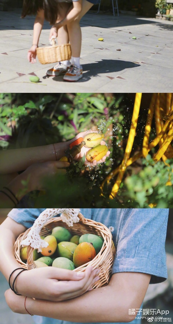 还记得被“禁止整容”的小芈月吗？如今11岁成小女神了？