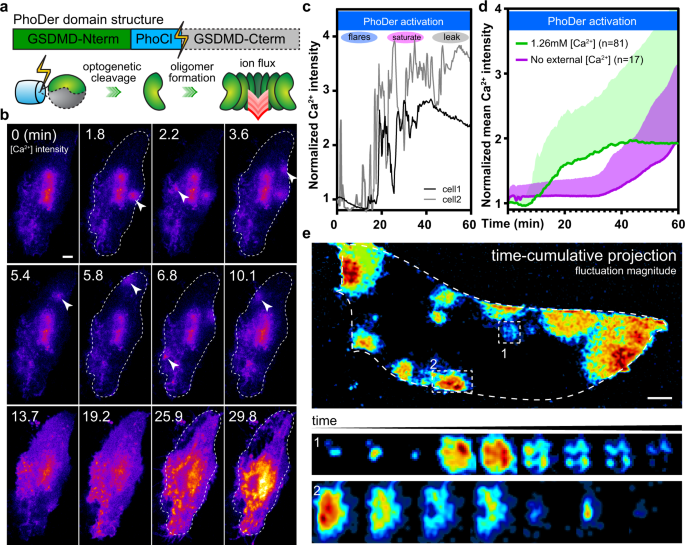 ��ѧ�ҷ��ַ���ϸ���������·��� ������ǰ����Ϊ�ǲ������