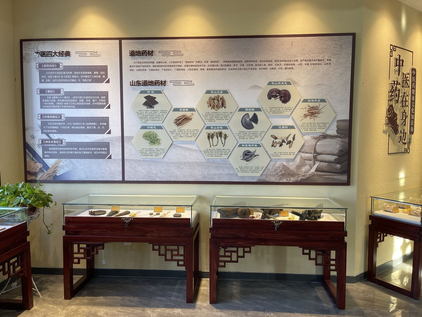 “中医药在身边”——山东深入开展中医药健康文化知识角创建工作