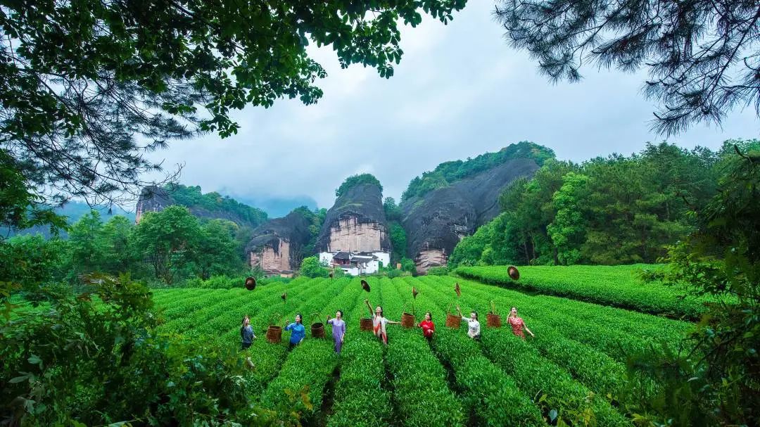 虎年说福十大旅游路线告诉你，“福建，好有福气！”