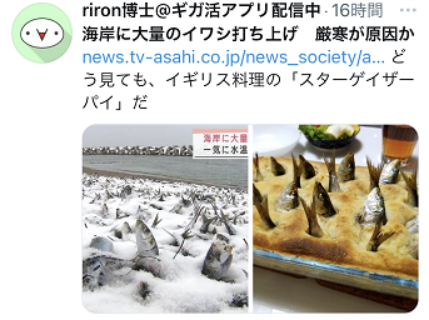 沙丁魚(yú),沙丁魚(yú)的做法家常做法
