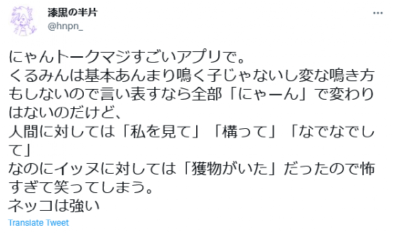 猫语翻译器在日本火了，网友狂喜：“没想到主子在叫我爸。”