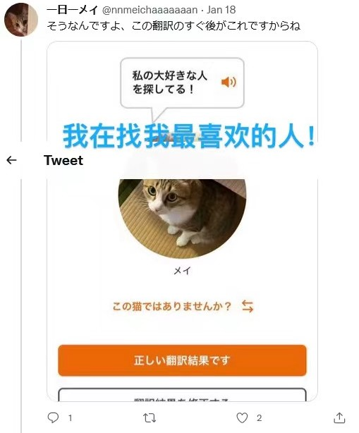 猫语翻译器在日本火了，网友狂喜：“没想到主子在叫我爸。”
