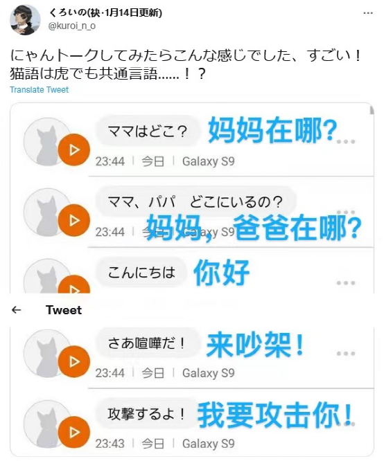 猫语翻译器在日本火了，网友狂喜：“没想到主子在叫我爸。”