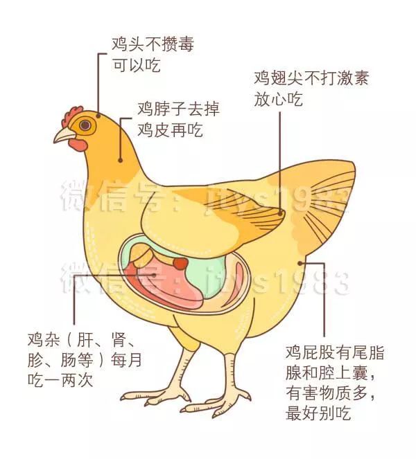 鸡、鱼、虾这些部位千万别吃，毒素和寄生虫超多！你再喜欢也要戒口