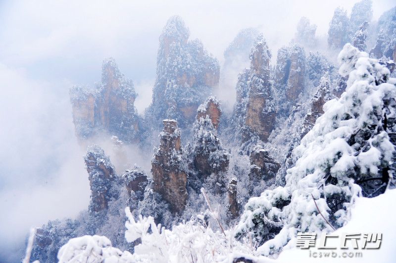 组图｜雪上天子山 美哉张家界