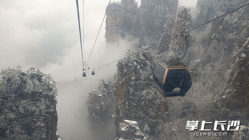 组图｜雪上天子山 美哉张家界