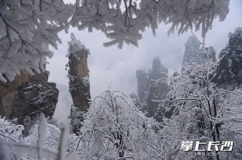 组图｜雪上天子山 美哉张家界