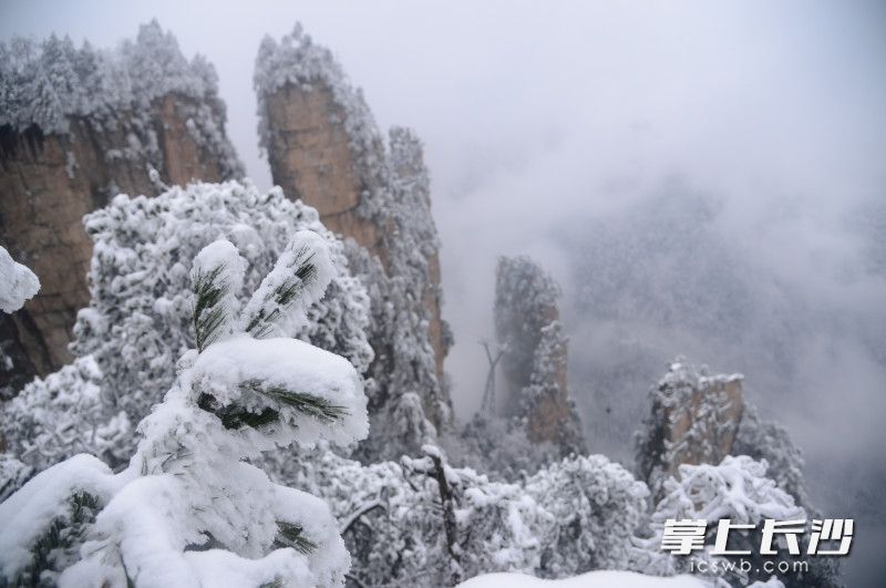 组图｜雪上天子山 美哉张家界