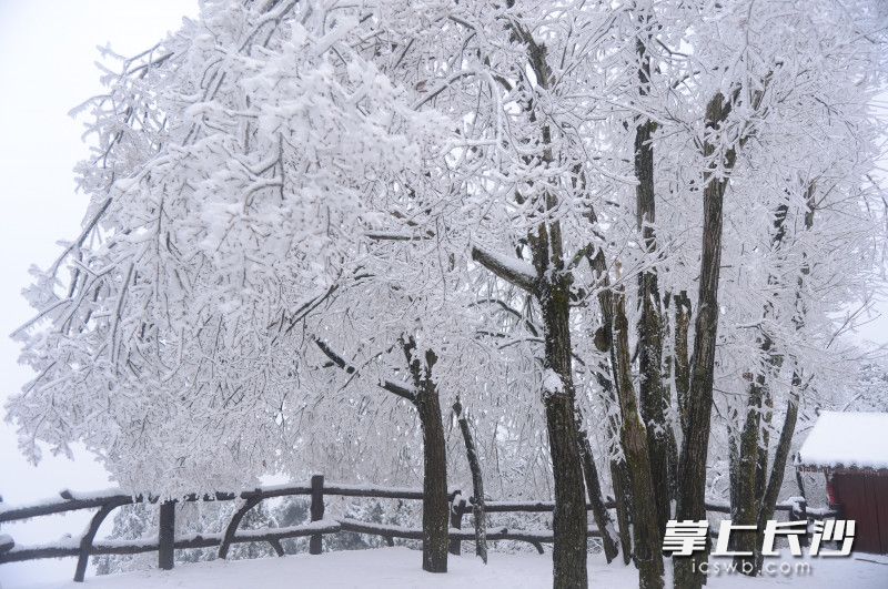 组图｜雪上天子山 美哉张家界