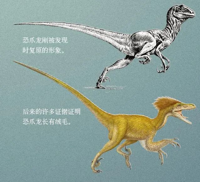 恐龙长什么样子祖先图片