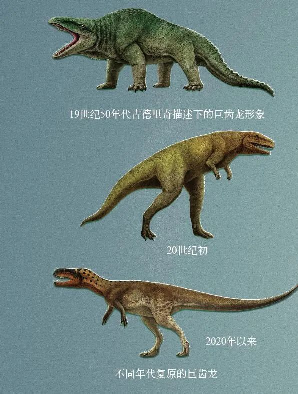 中国上仅剩一只的恐龙图片
